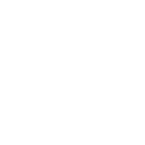 Twitter/X Promotion